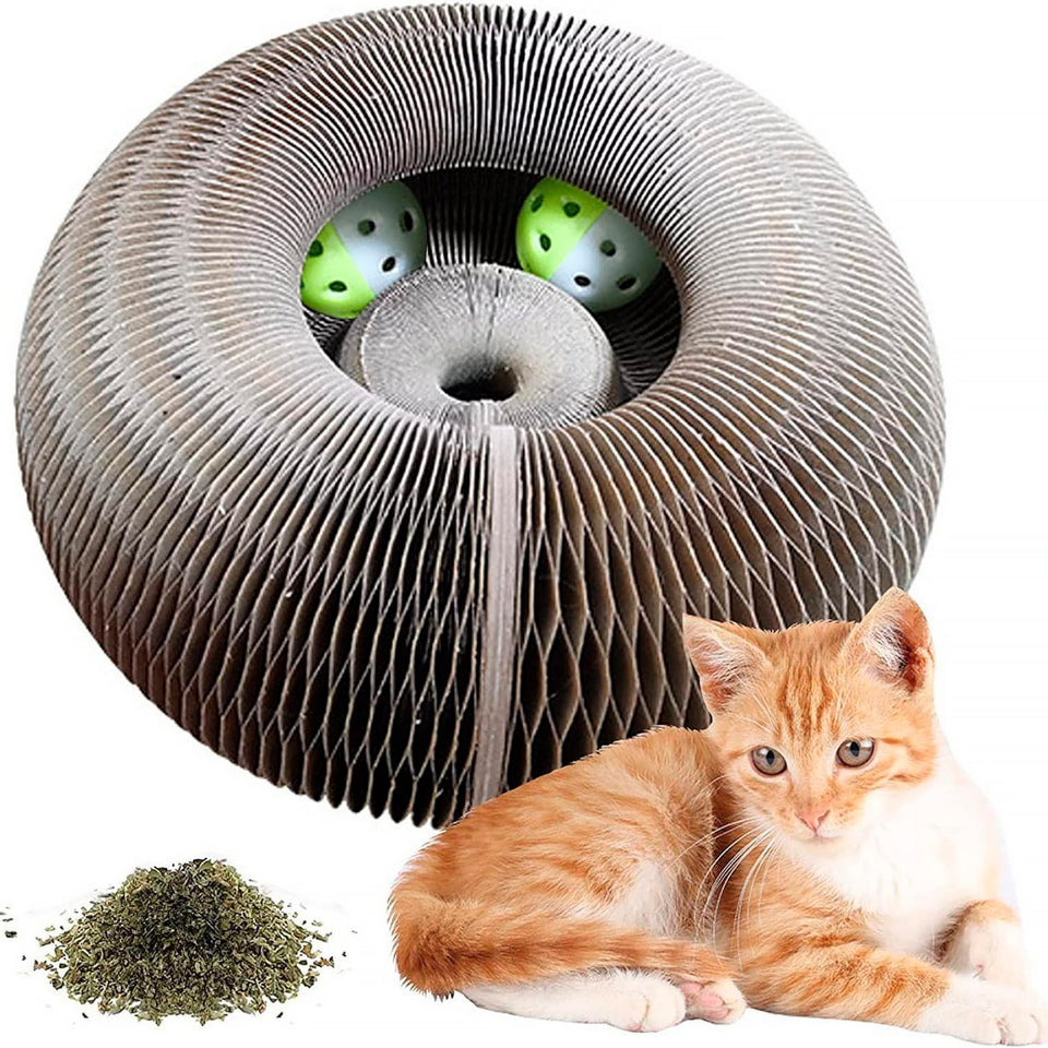 Arranhador Mágico Interativo Para Gatos - ®CatSnap